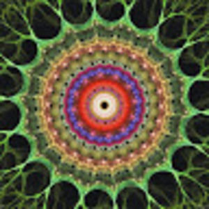 Meet your Posher, Erina